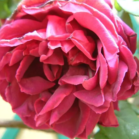 Corte Della Rosa 公寓