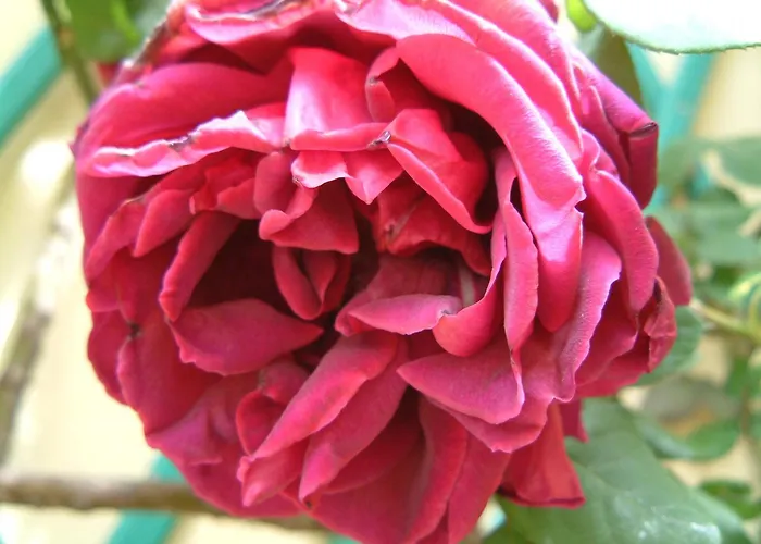 Corte Della Rosa 公寓